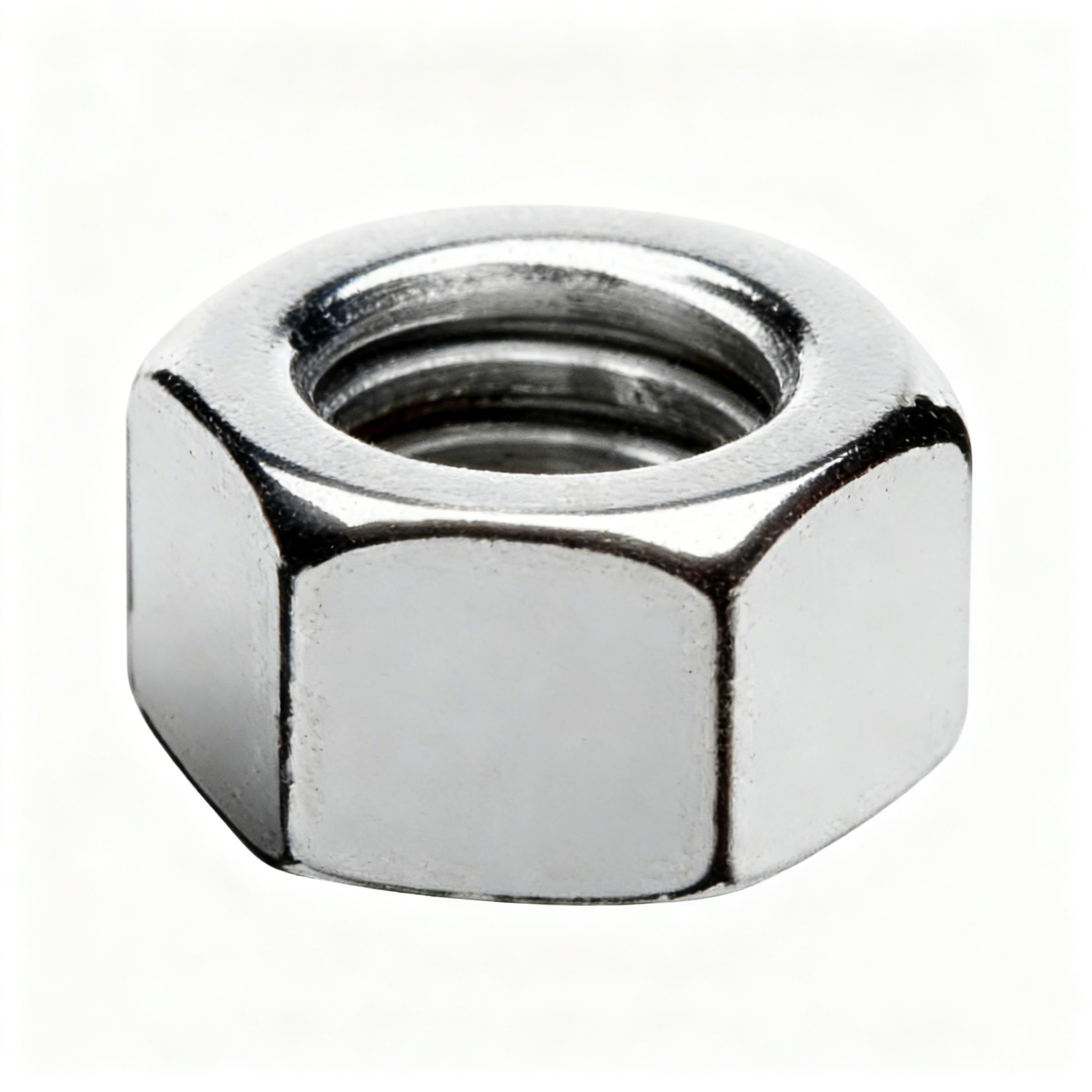Stainless Steel Nut